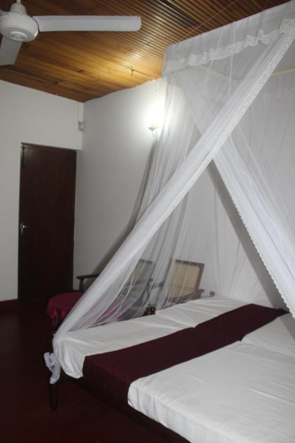Lazy Bear In Hostel