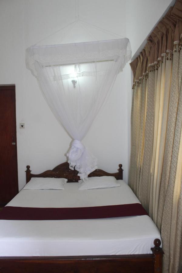 Lazy Bear In Kandy