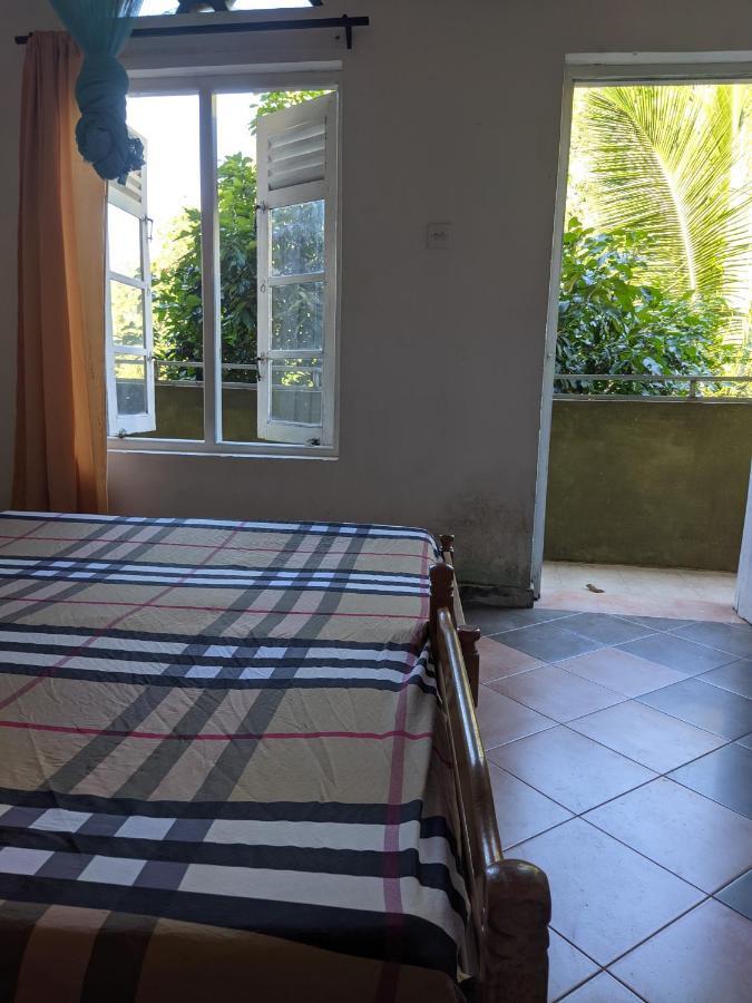 Canopy Homestay *
