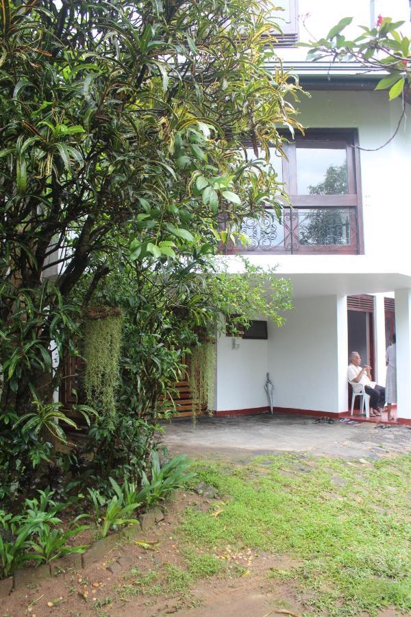 Lazy Bear In Hostel Kandy