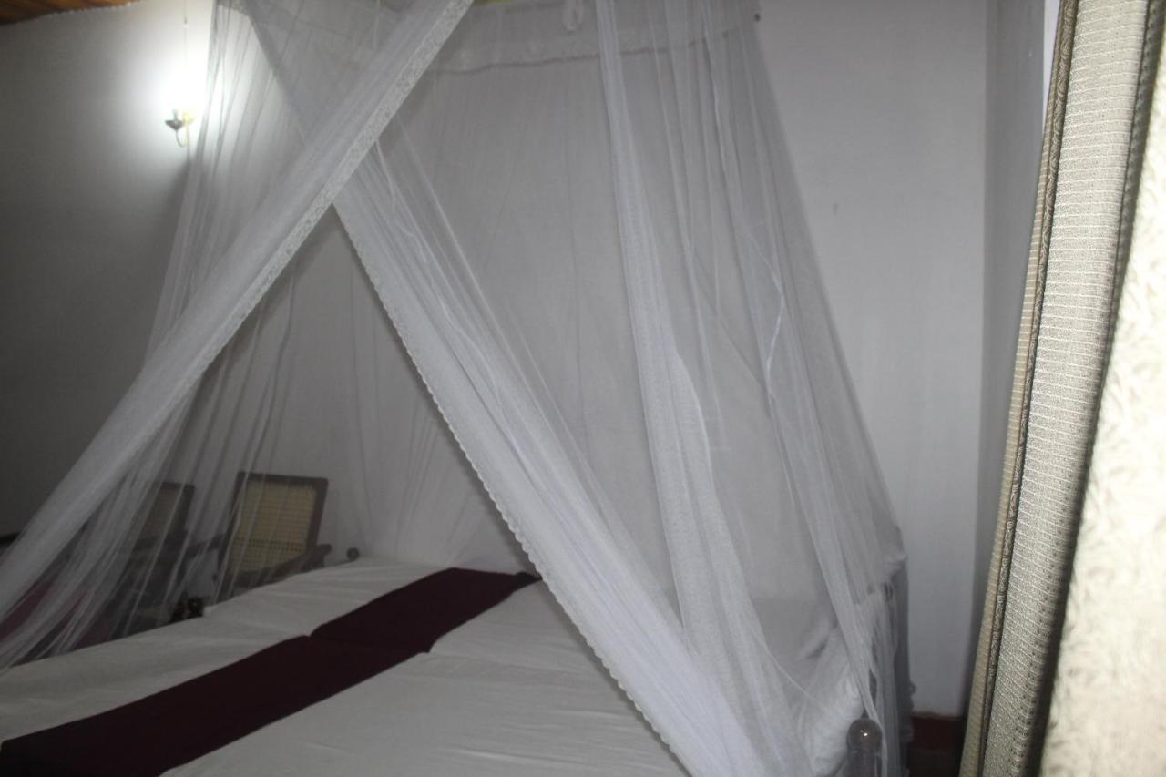 Hostel Lazy Bear In