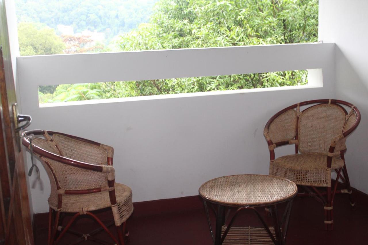 Lazy Bear In Hostel