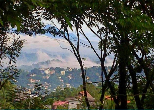 Homestay Bird Wood