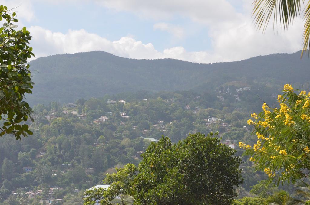 The Buena Vista Bed & Breakfast Kandy