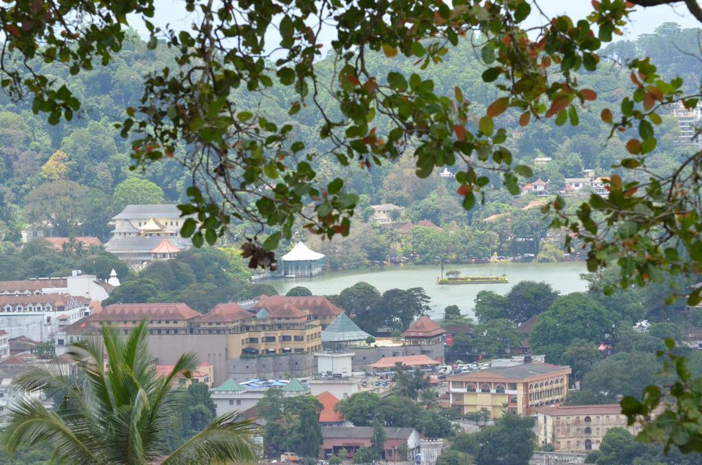 The Buena Vista * Kandy