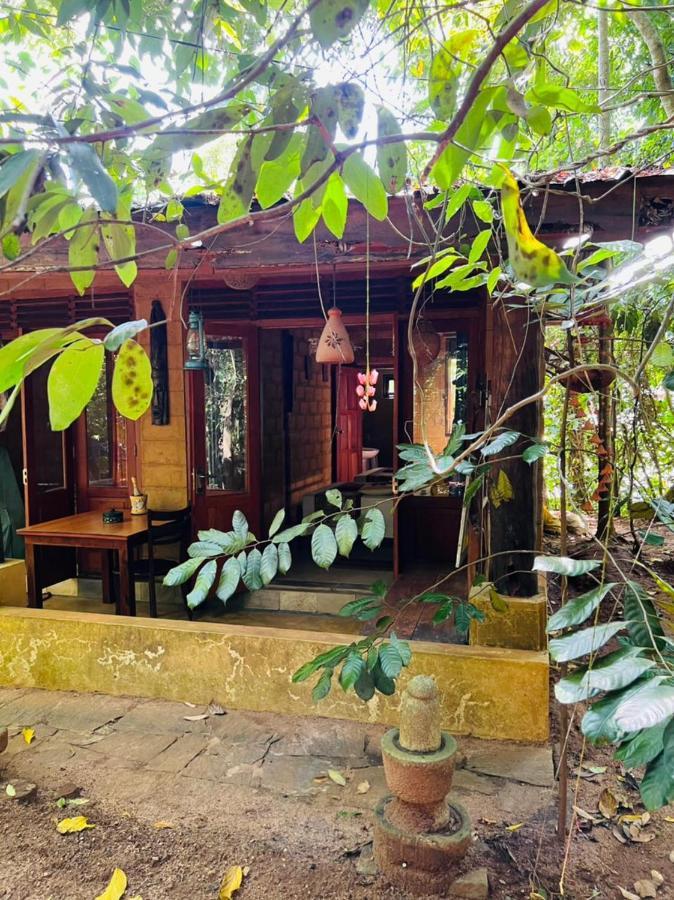 Eco Retreat *
