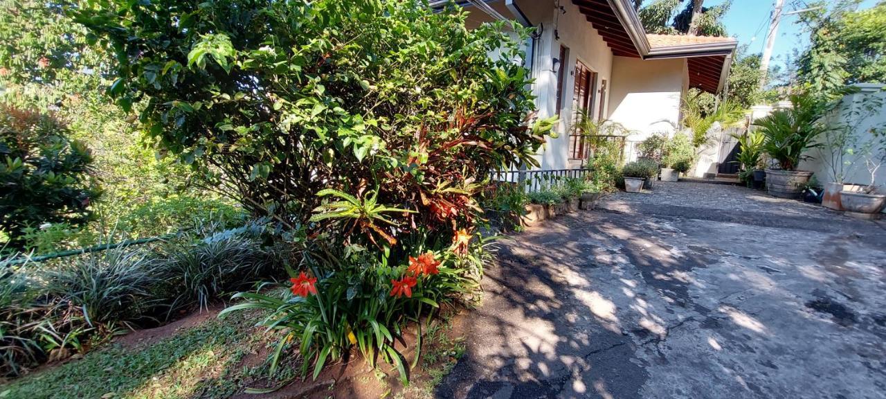 Windy Ridge Guest house