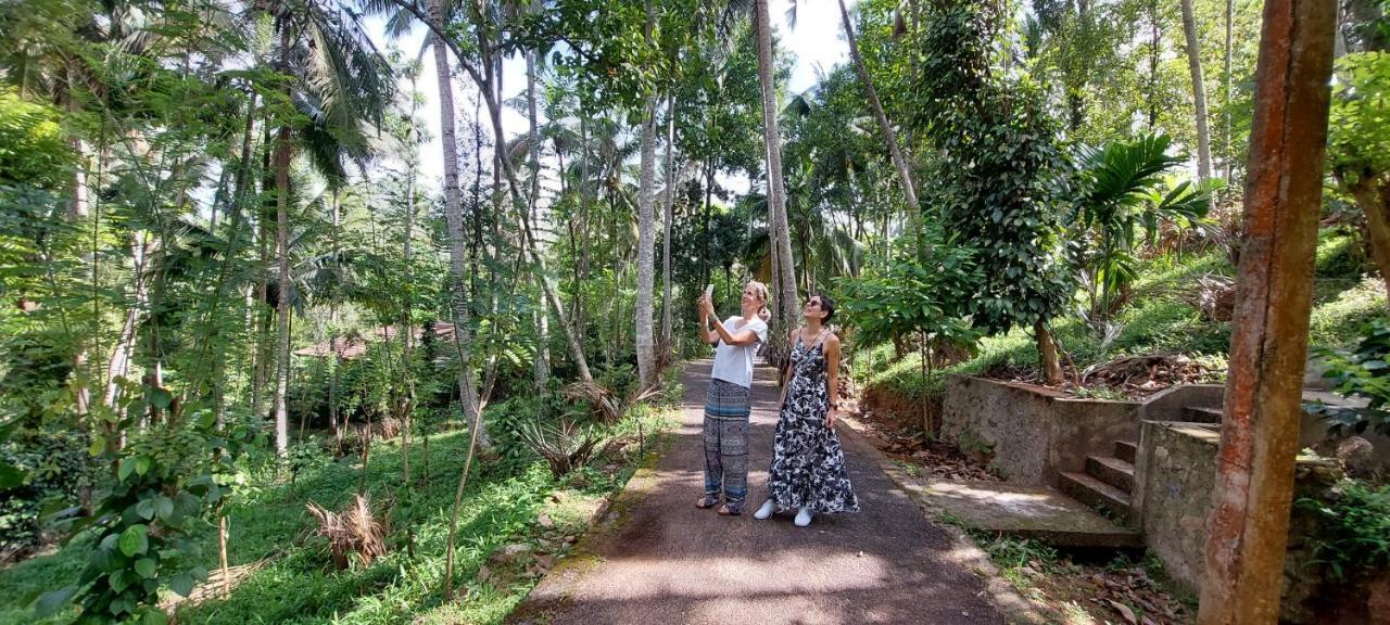 Windy Ridge Kandy