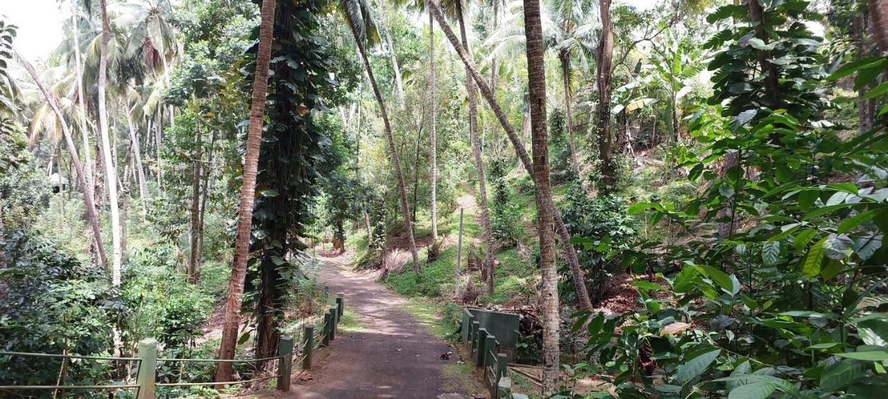 Windy Ridge Guest house 3*