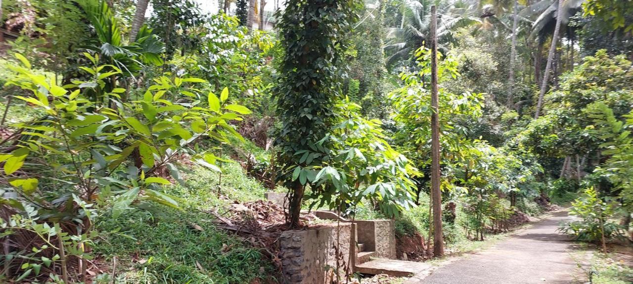Windy Ridge 3* Kandy