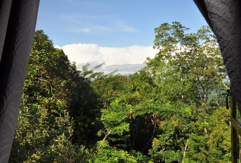 Hotel View *