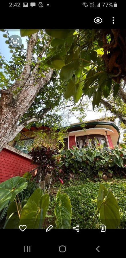 Mount Haven Guest house Kandy
