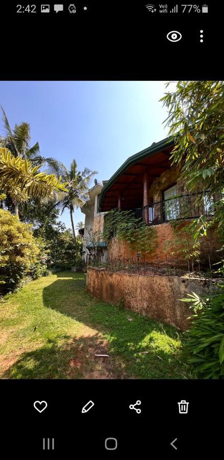 Mount Haven Guest house