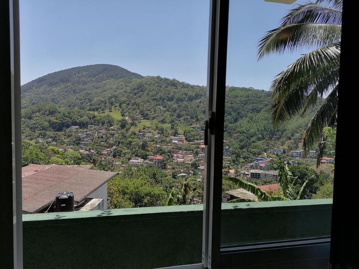 Homestay Mountain View
