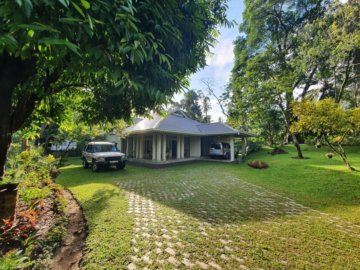 Homestay Lewella House