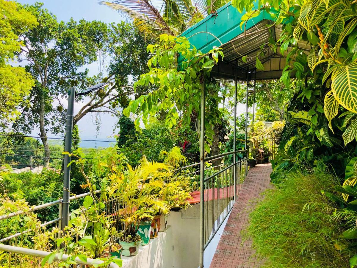 Blossom Rest Guest house 2*