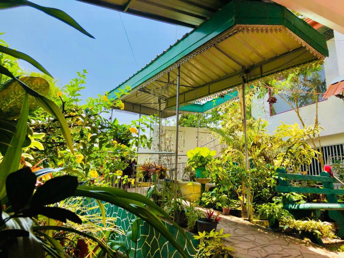 Guest house Blossom Rest 2*