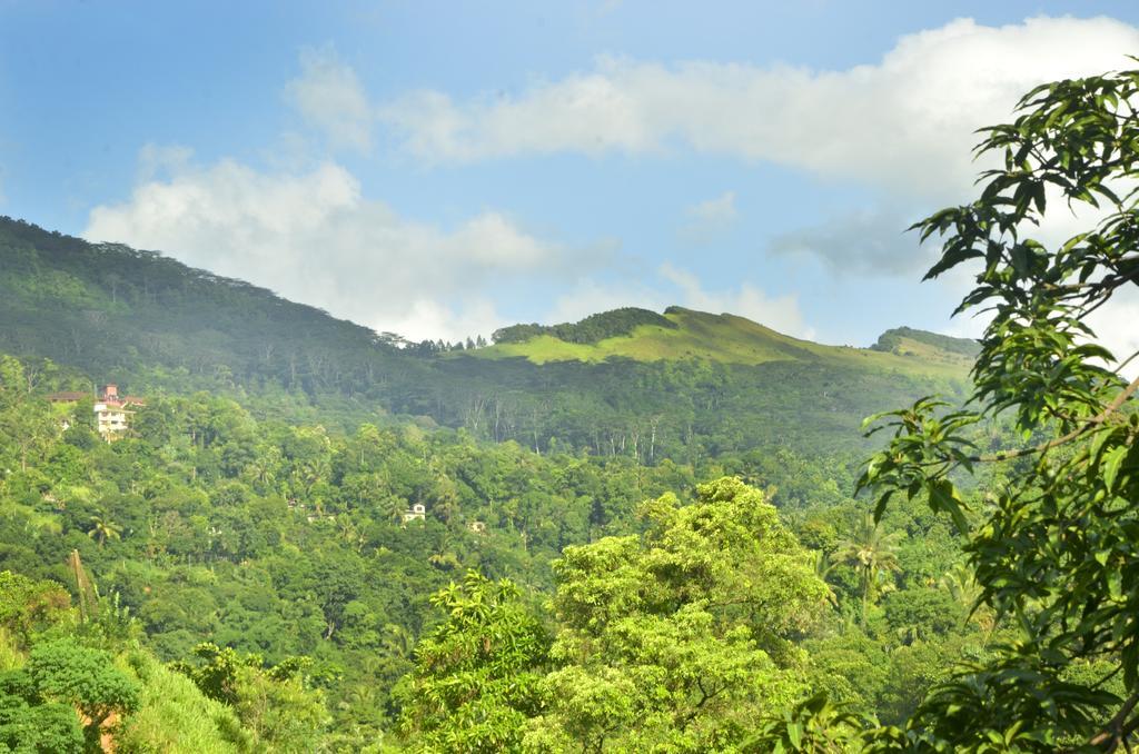 Hotel Paradise Kandy