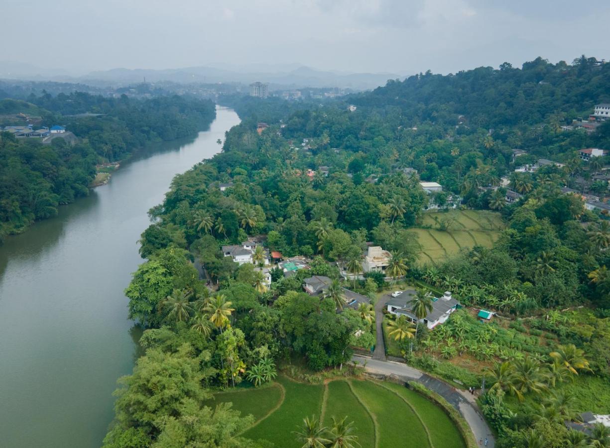 Surveyor's * Kandy