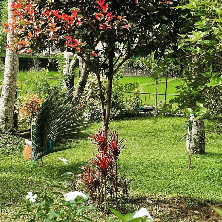 Surveyor's Villa Kandy