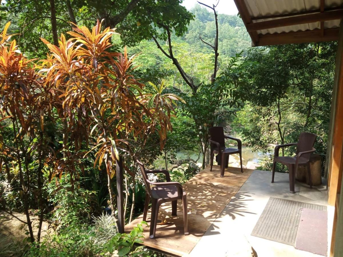 The Wild- By The River Kandy