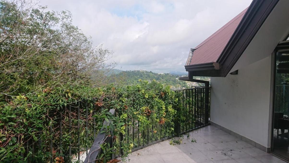 Bird Nest - Hanthana Kandy