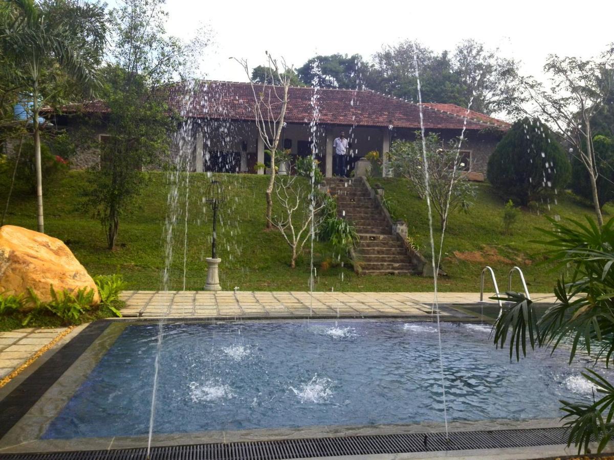 Serendip Stone And Kandy