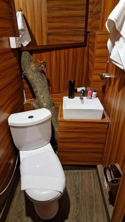 Hotel Tree House