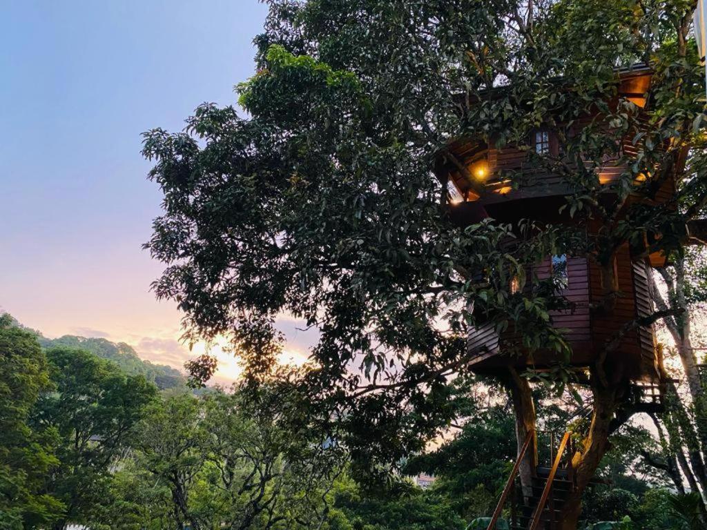 Hotel Tree House Kandy