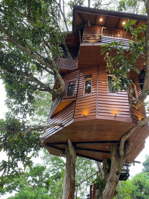 Tree House Kandy