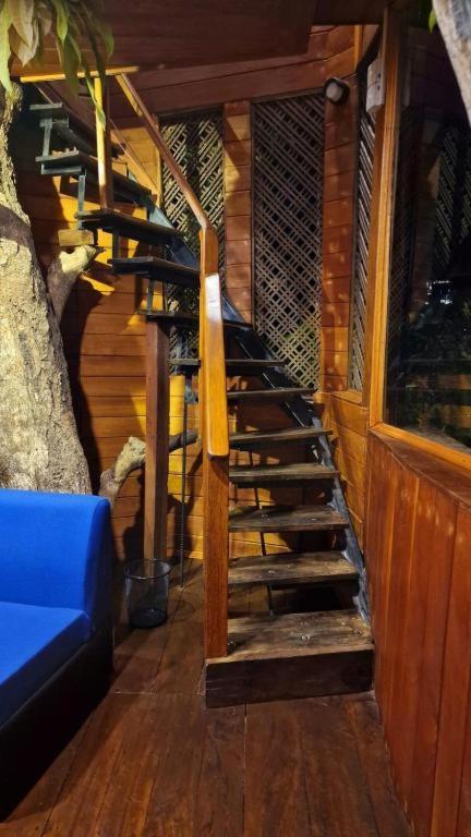 Tree House Hotel Kandy