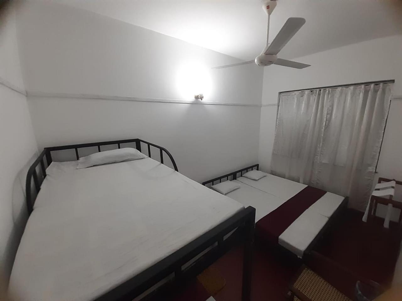 Lazy Bear In Hostel