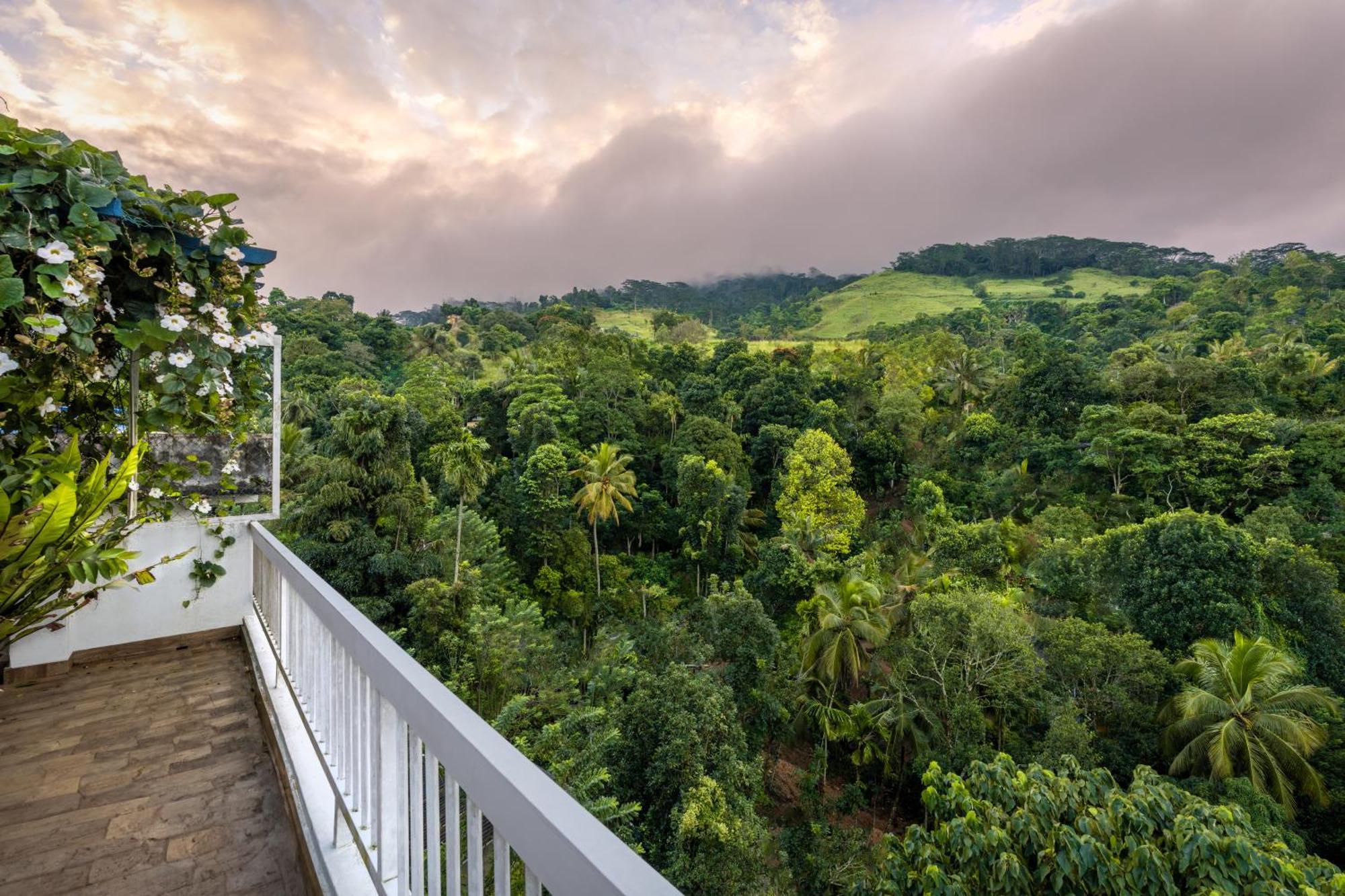 Apartment The Chocolate Factory House, Kandy- Exclusive Private Kandy