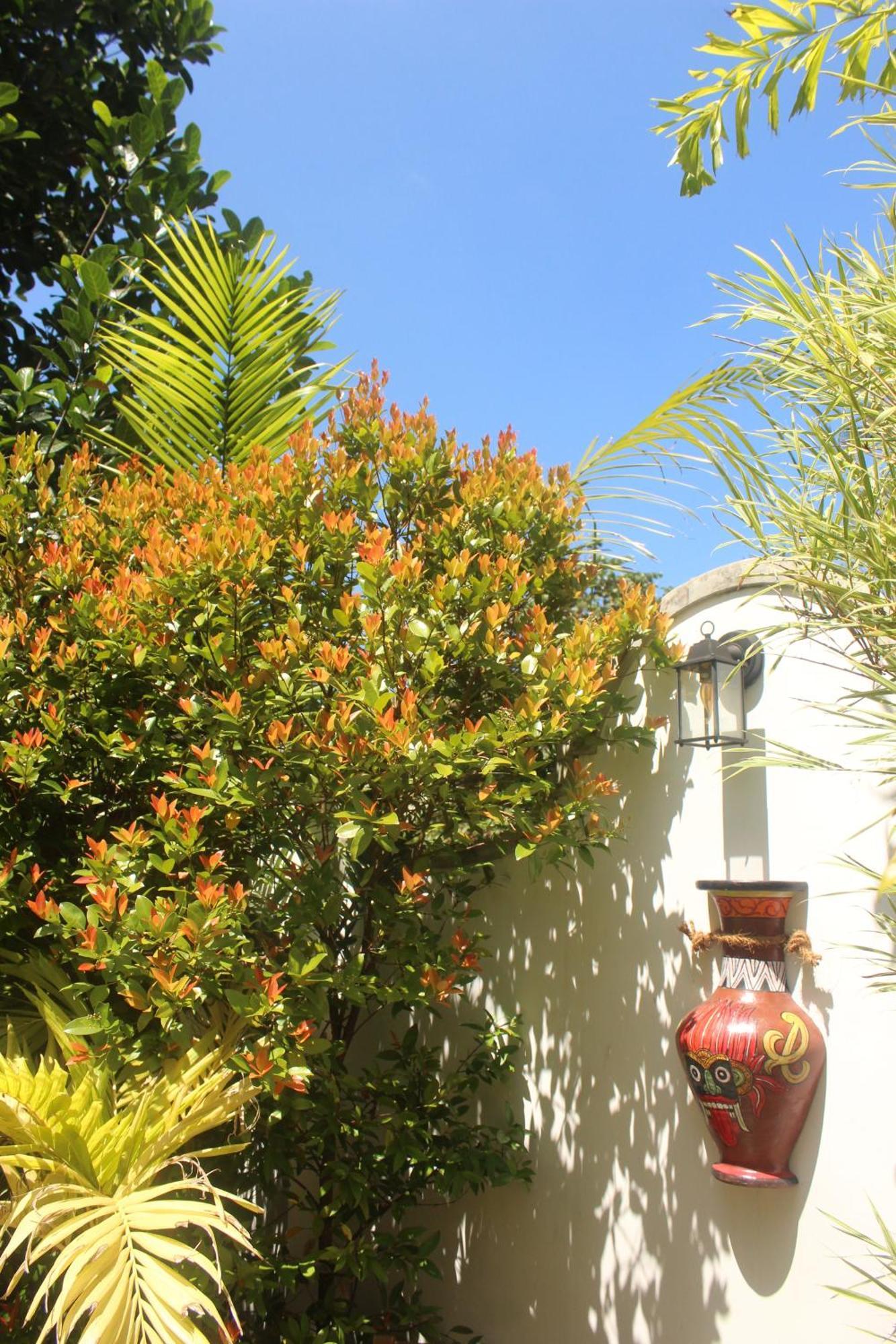 Olde Ceylon Guest house *