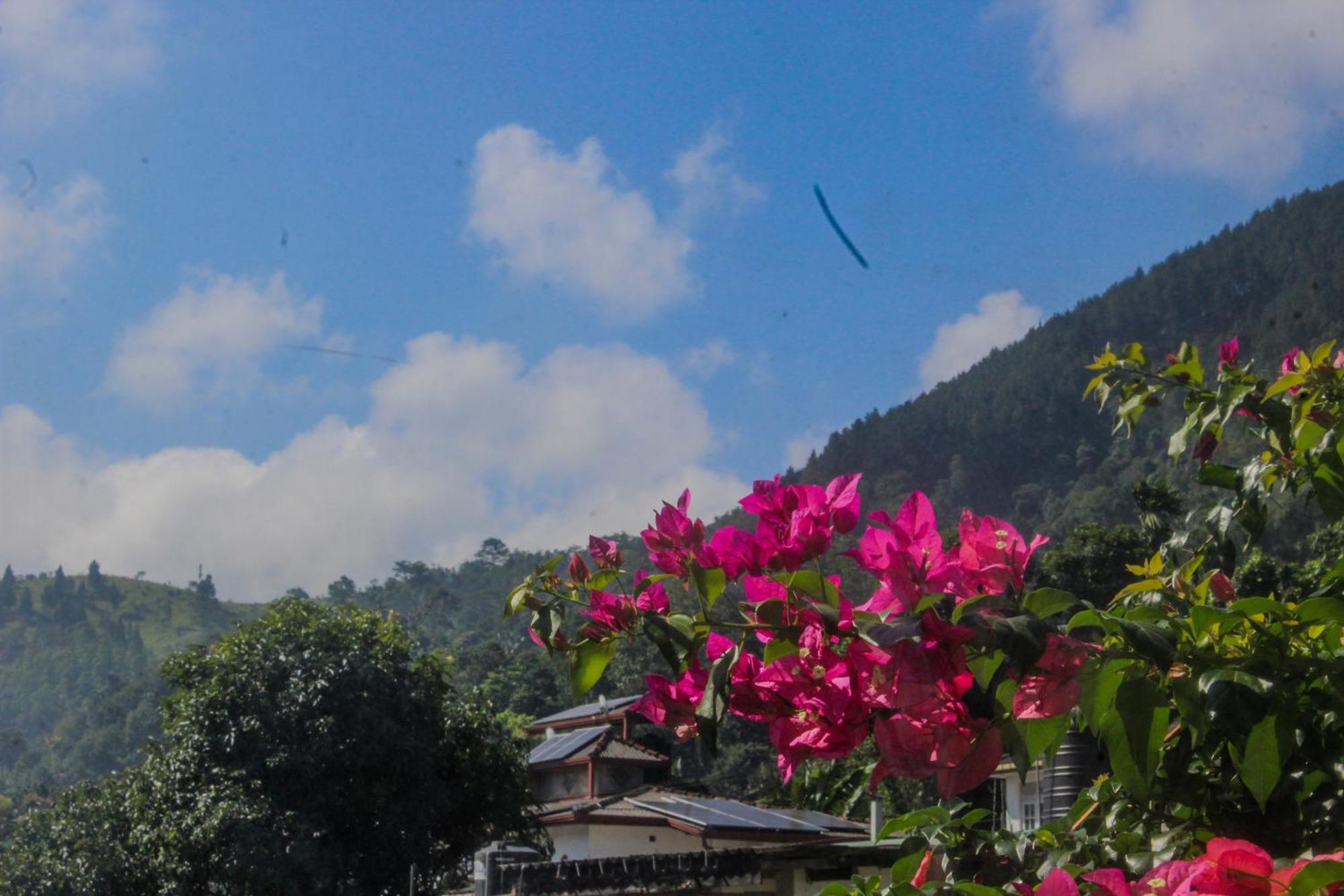 Guest house Olde Ceylon *