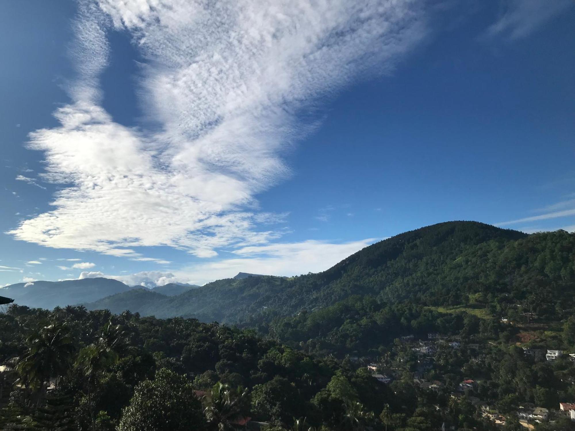 Mountain View Guest house *