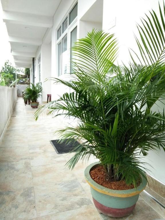 Guest house Mountain View Kandy