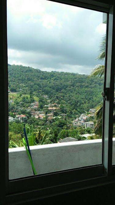 Mountain View Guest house