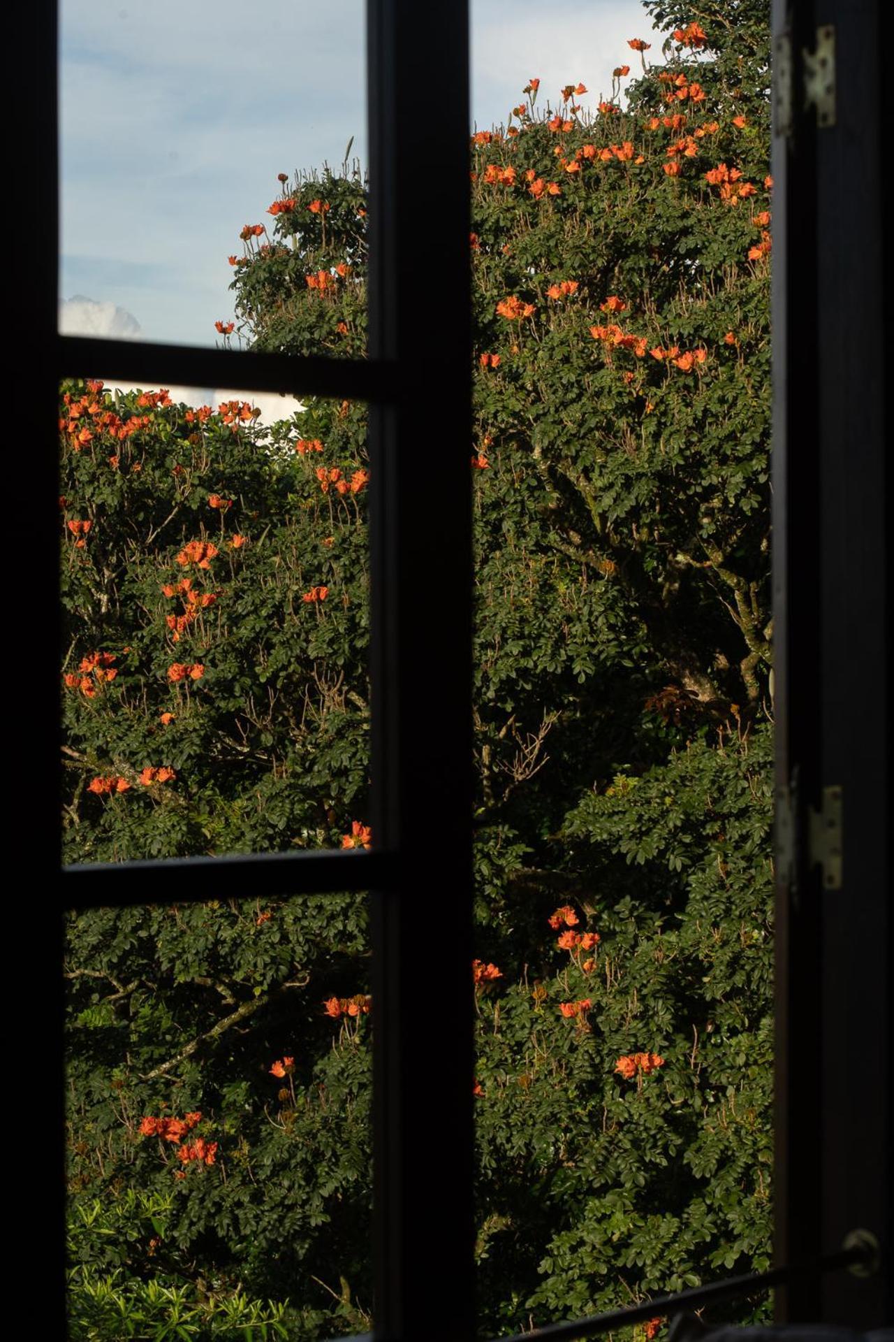 Hotel Dendrobium House Kandy