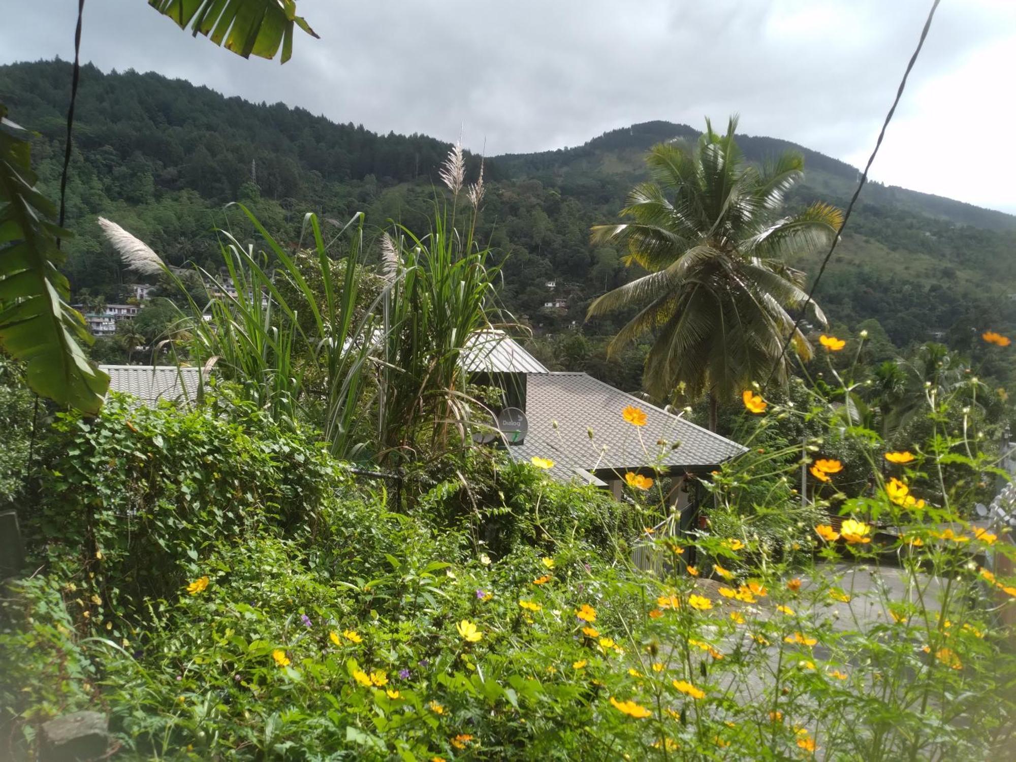 Riverview Guest Homestay