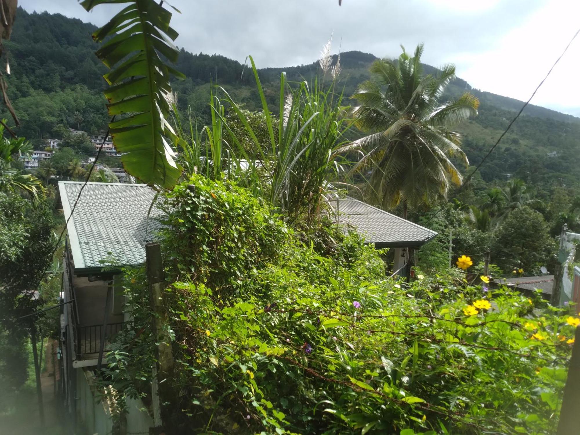 Homestay Riverview Guest *