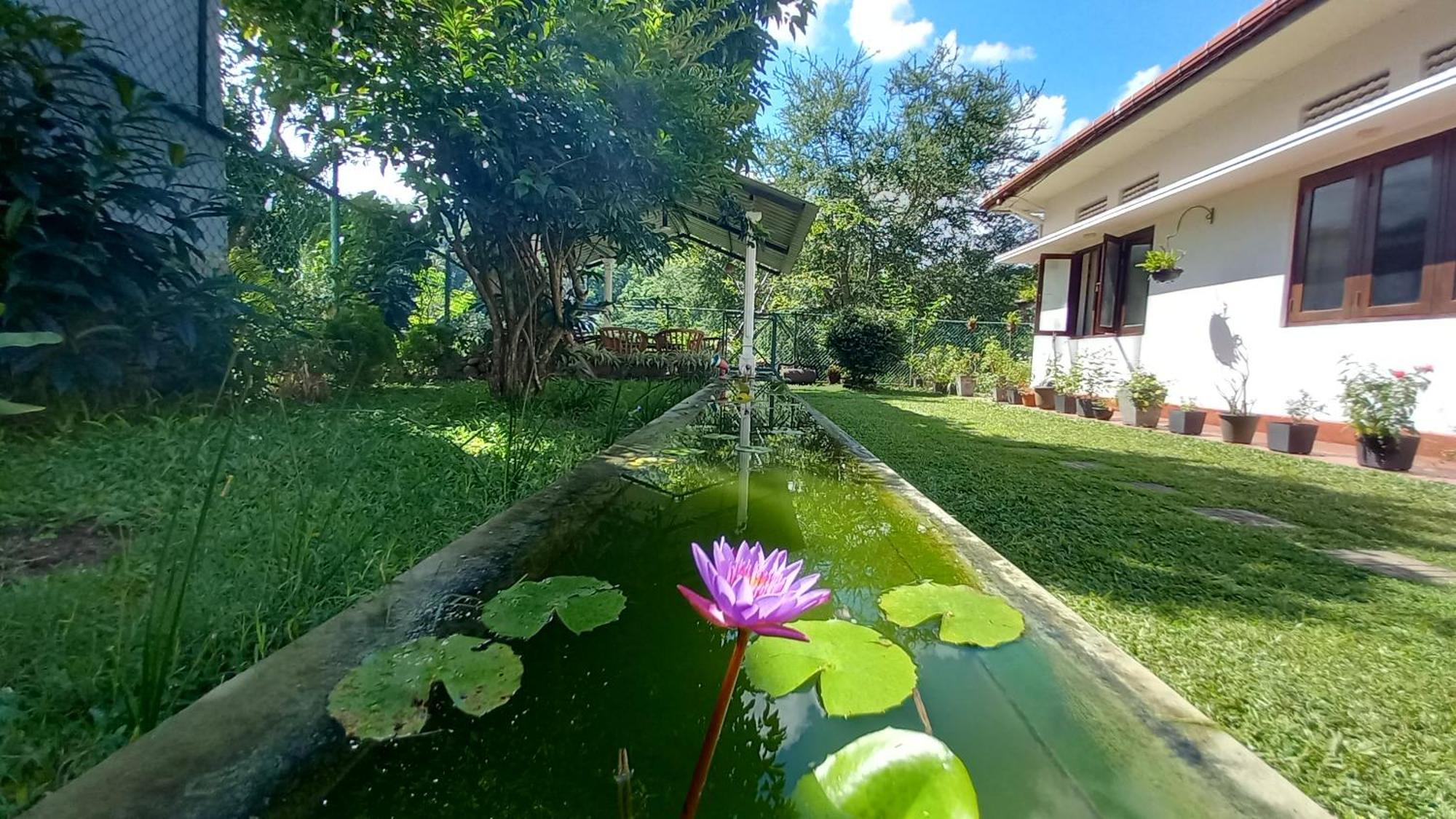 Mahaweli Shades Kandy