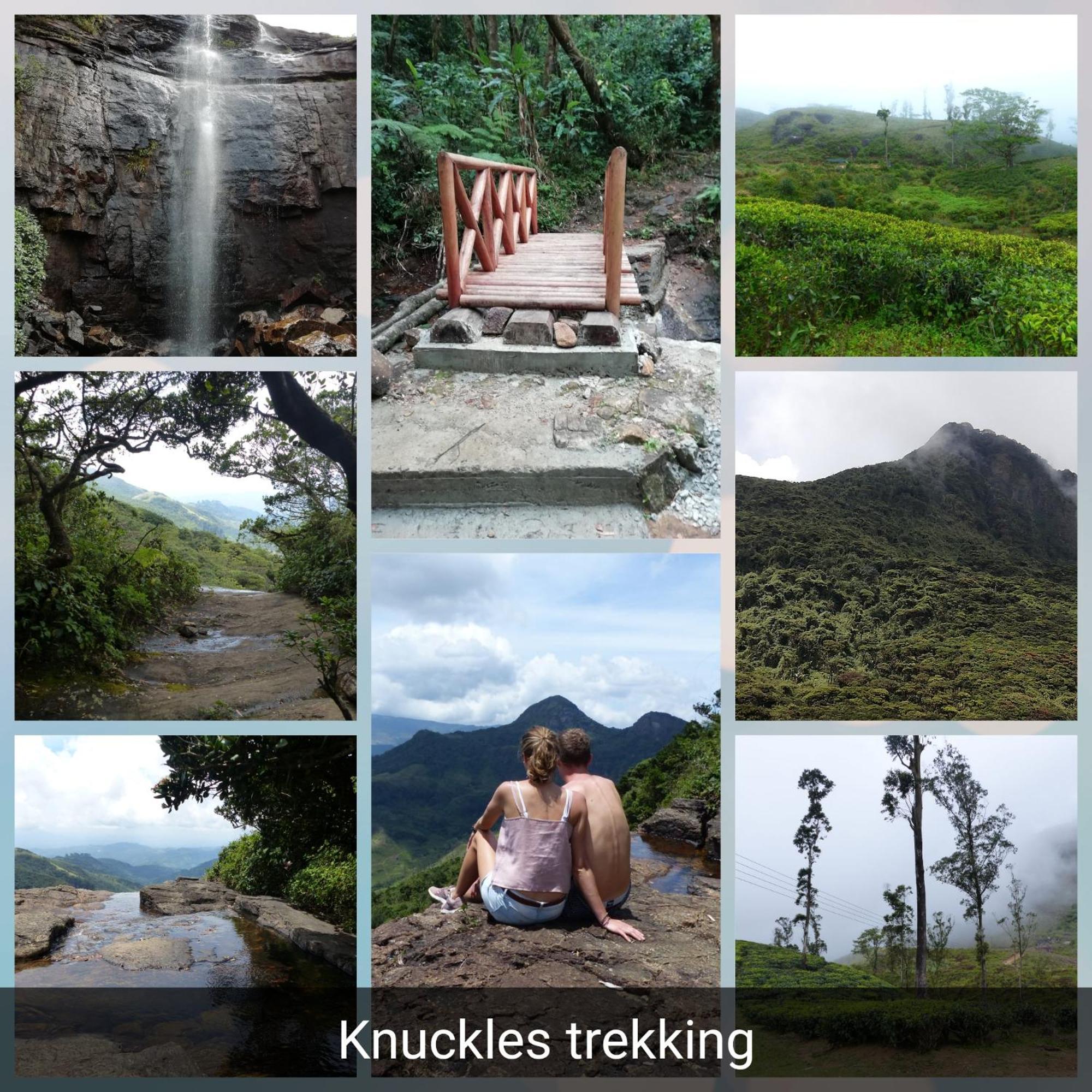 Dreamscape Homestay *