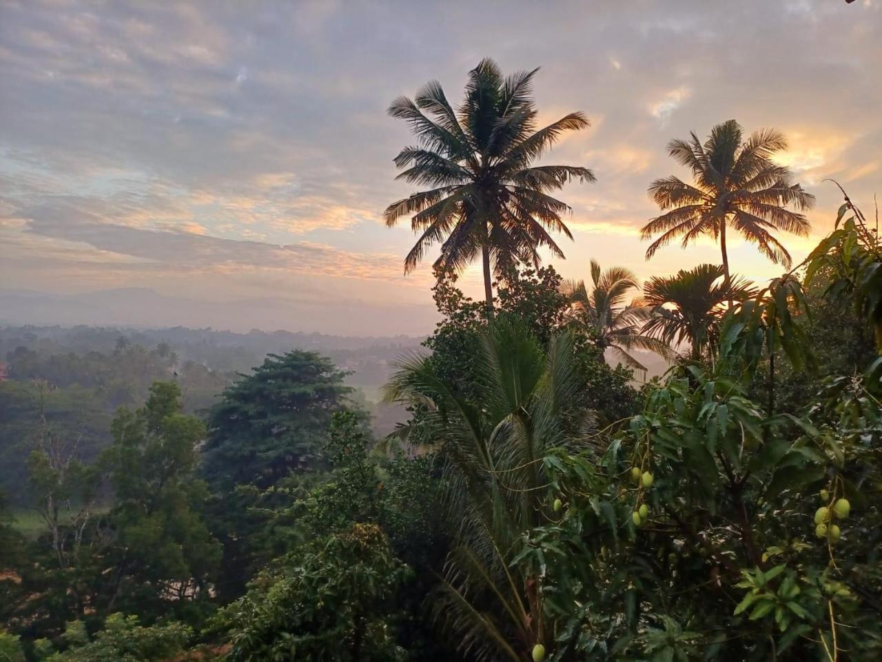 The Traveller Lodge Kandy