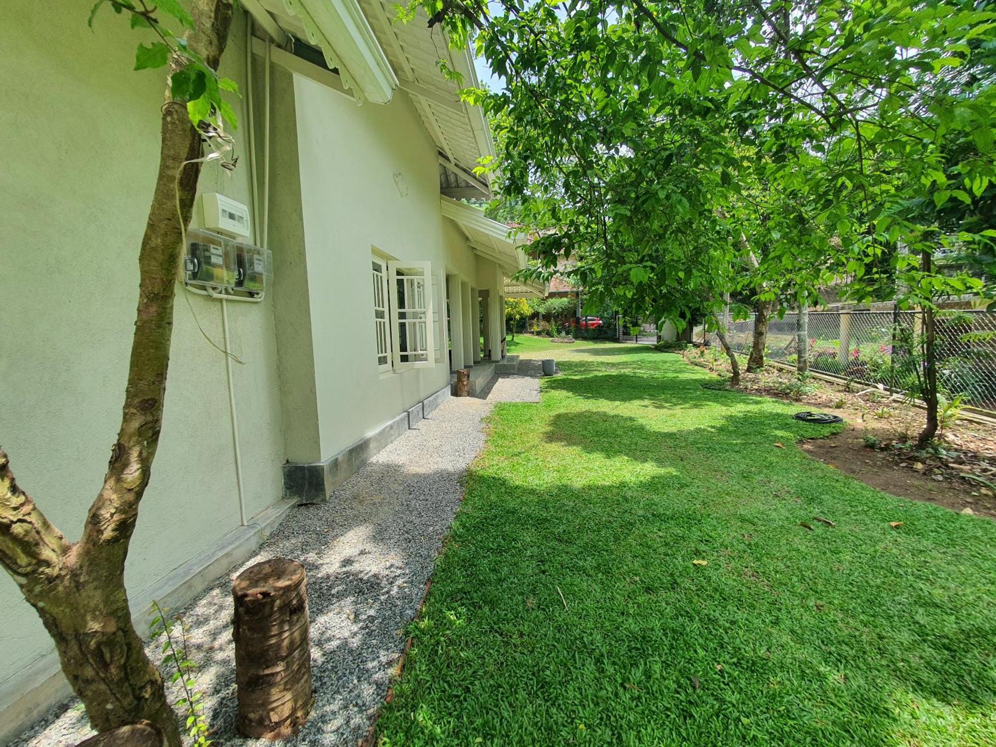 Homestay Lewella House *