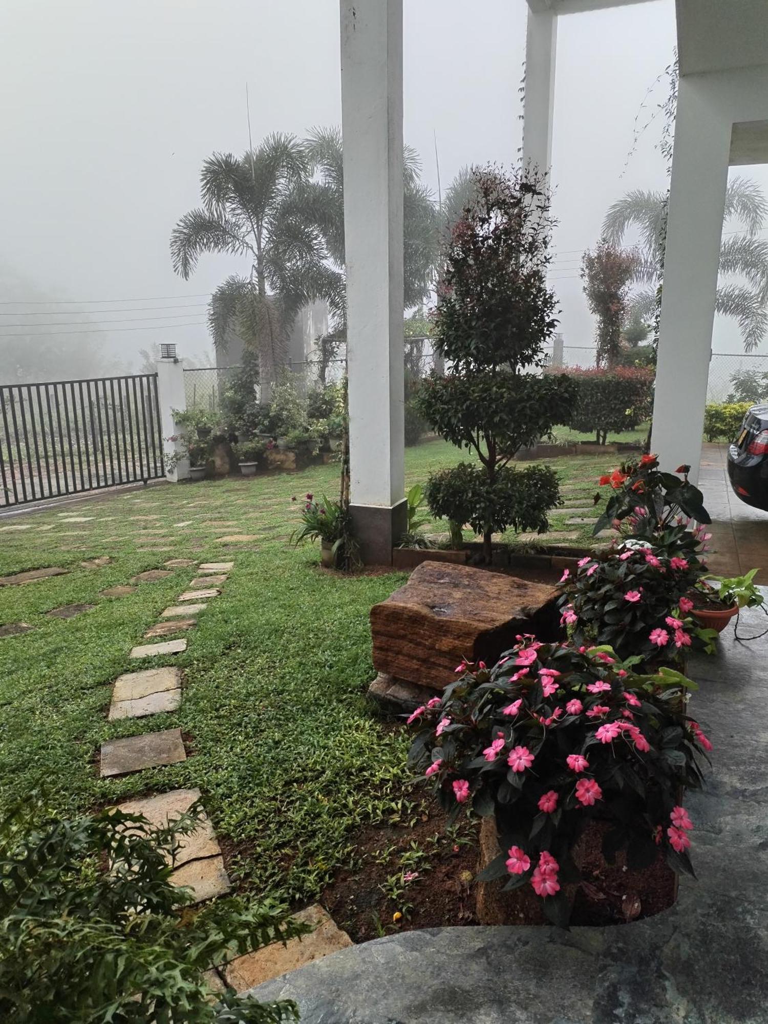 Homestay The Grove *