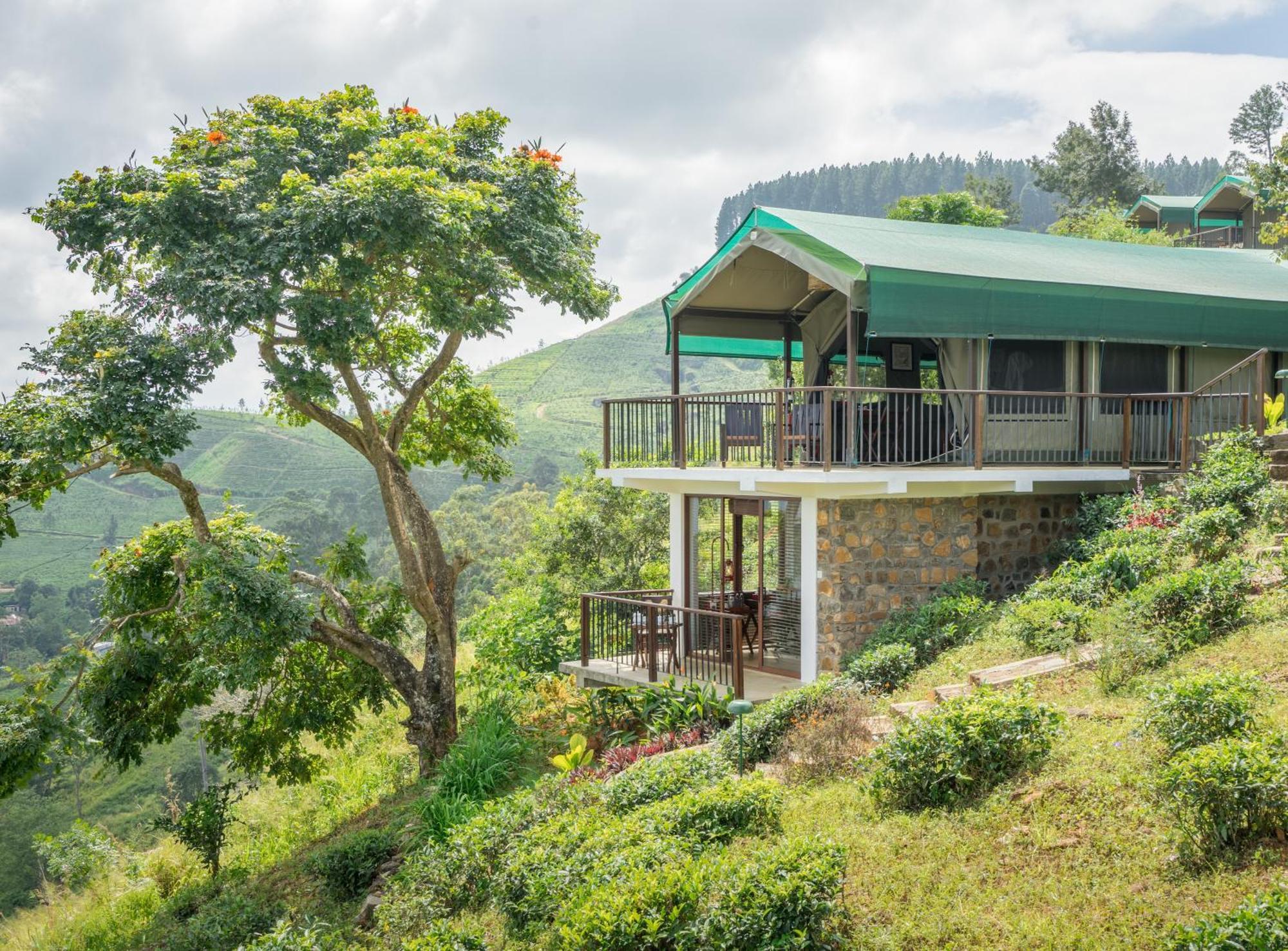 Resort Madulkelle Tea And Eco 5*