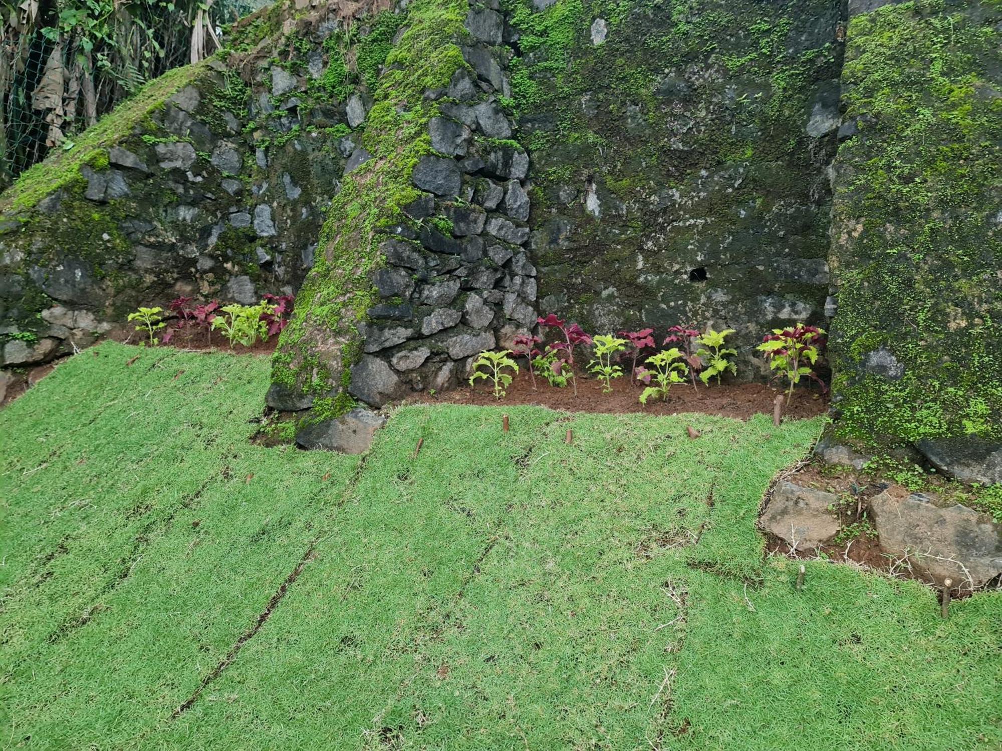 Hello Homestay *