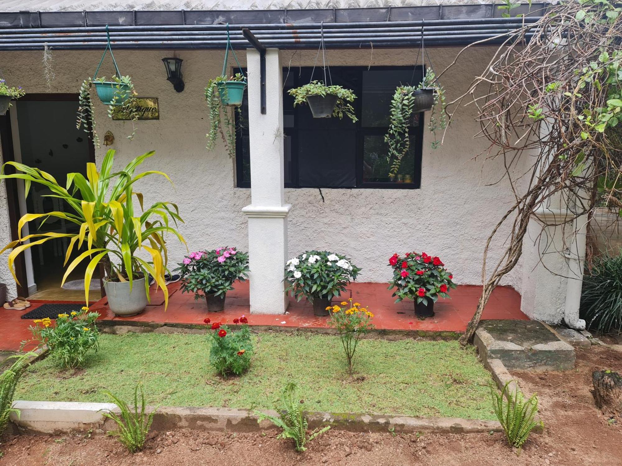 Homestay Hello