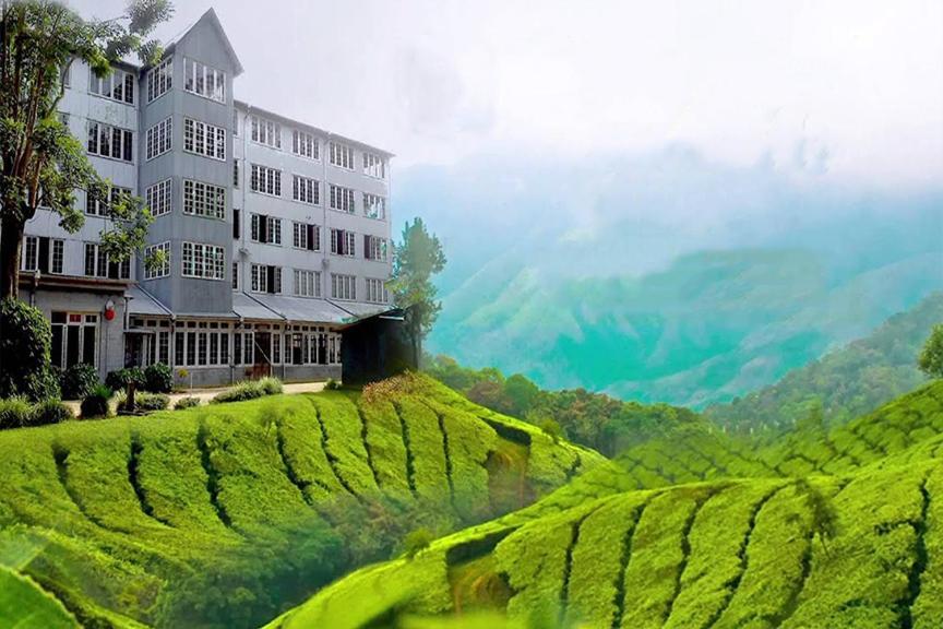 Homestay The Grove